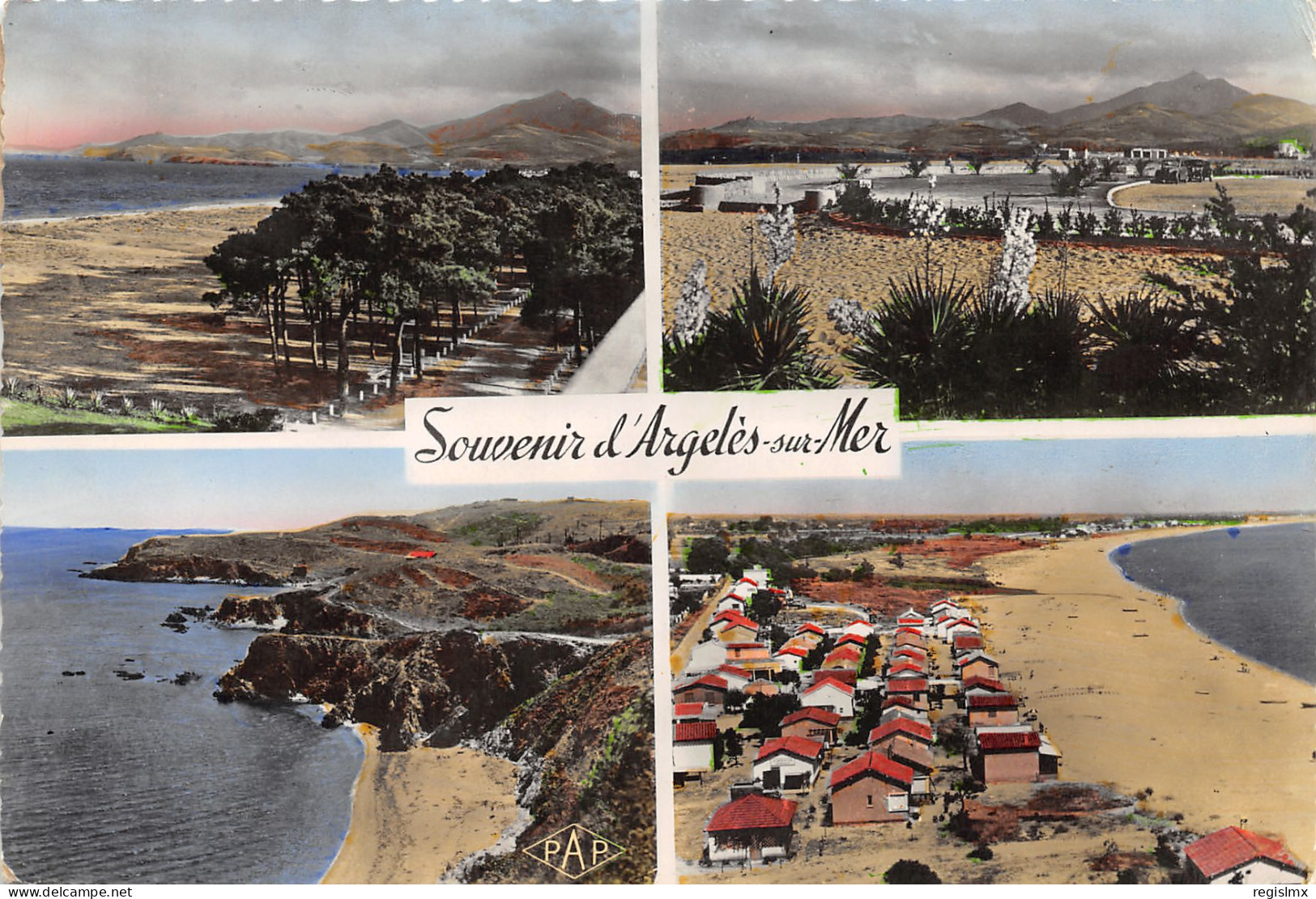 66-ARGELES SUR MER-N°346-B/0097 - Argeles Sur Mer