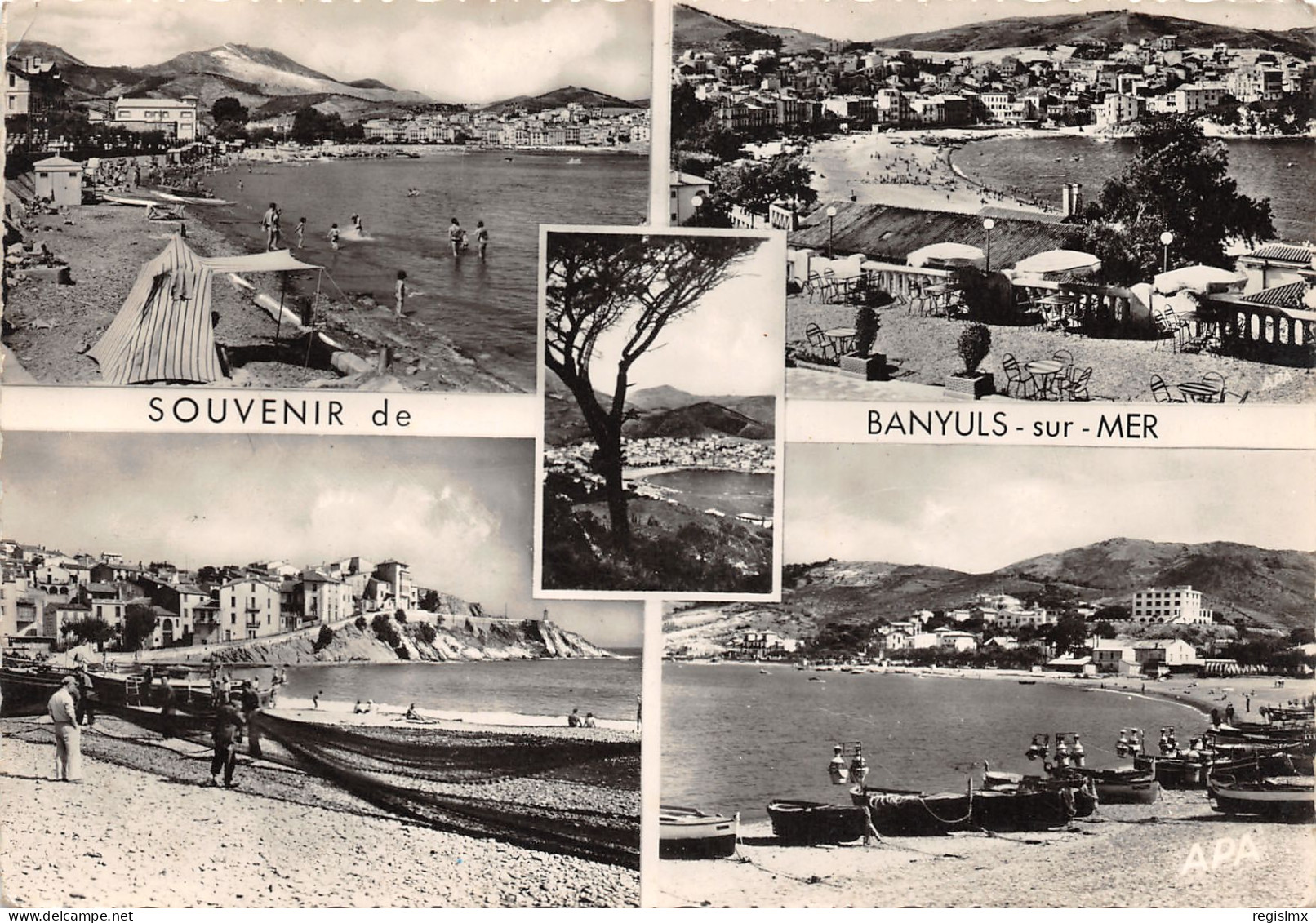 66-BANYULS SUR MER-N°346-B/0093 - Banyuls Sur Mer