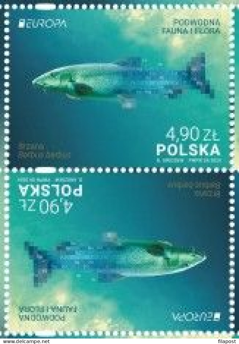 Poland 2024 / Underwater Fauna And Flora, Fish, Chemical Elements, Barbus Barbus, Animals, Tete Beche / MNH** Stamps - Ungebraucht