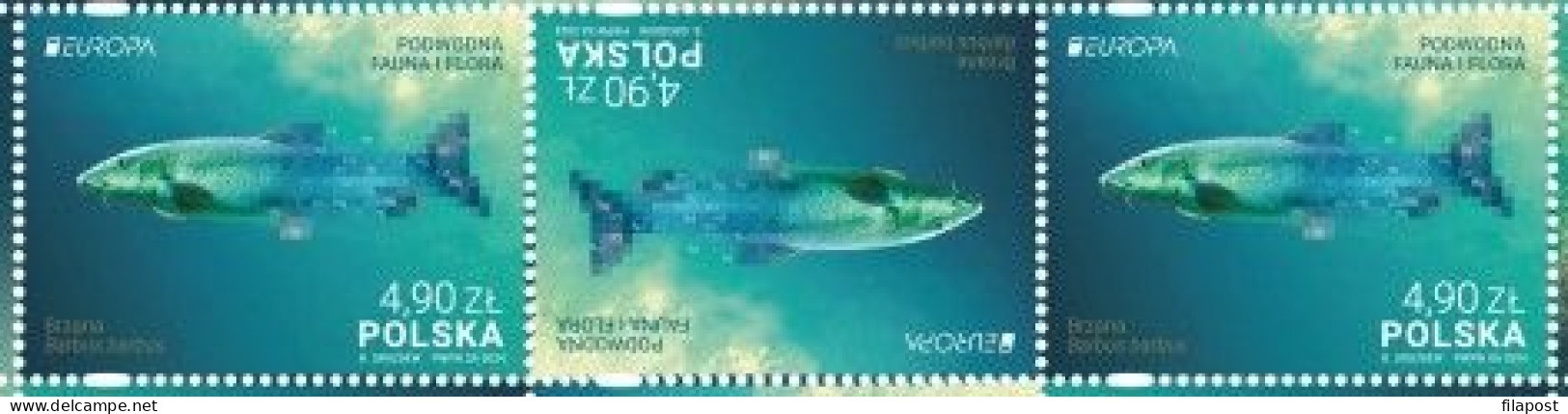 Poland 2024 / Underwater Fauna And Flora, Fish, Chemical Elements, Barbus Barbus, Animals, Tete Beche / MNH** Stamps - Neufs