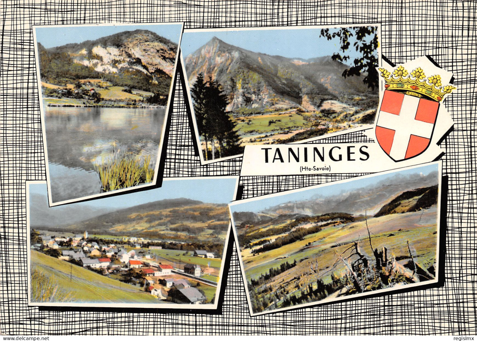74-TANINGES-N°347-C/0125 - Taninges