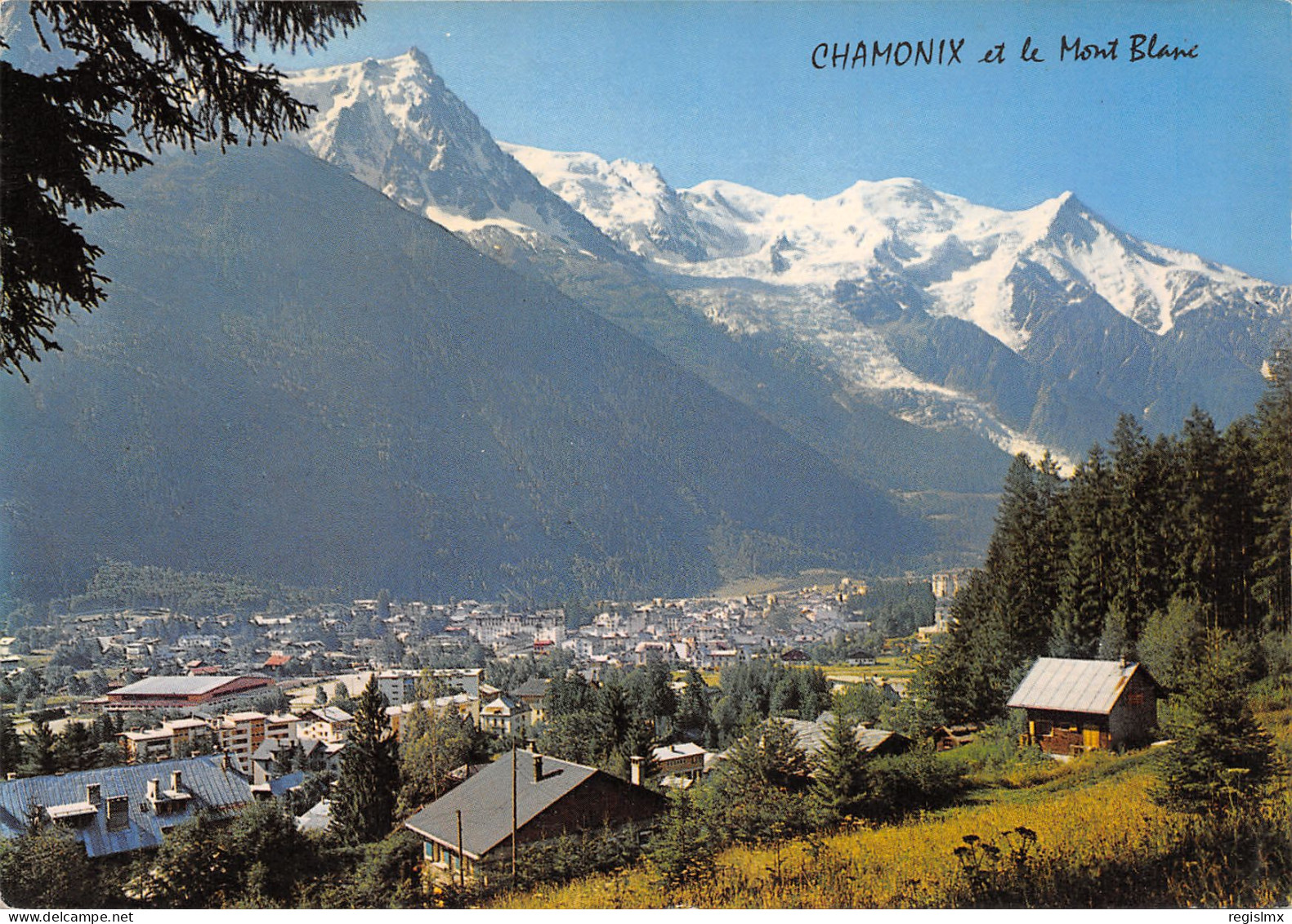 74-CHAMONIX-N°347-B/0241 - Chamonix-Mont-Blanc