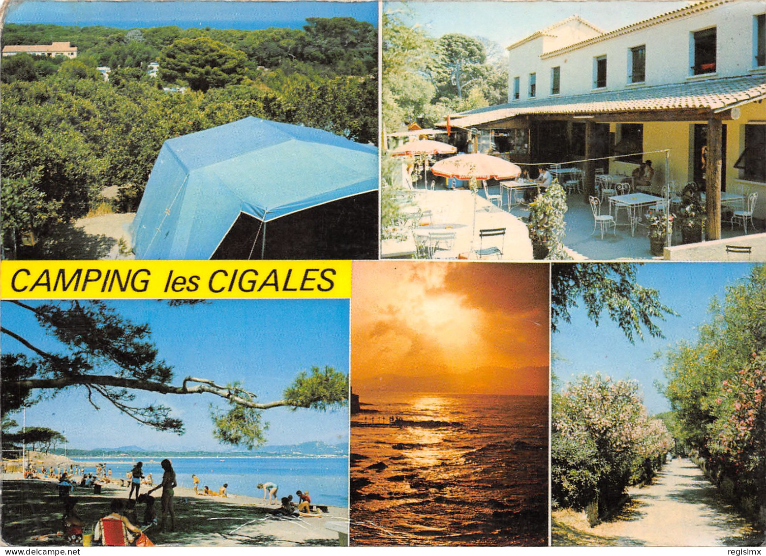 83-GIENS EN PRESQU ILE-CAMPING LES CIGALES-N°348-C/0037 - Autres & Non Classés