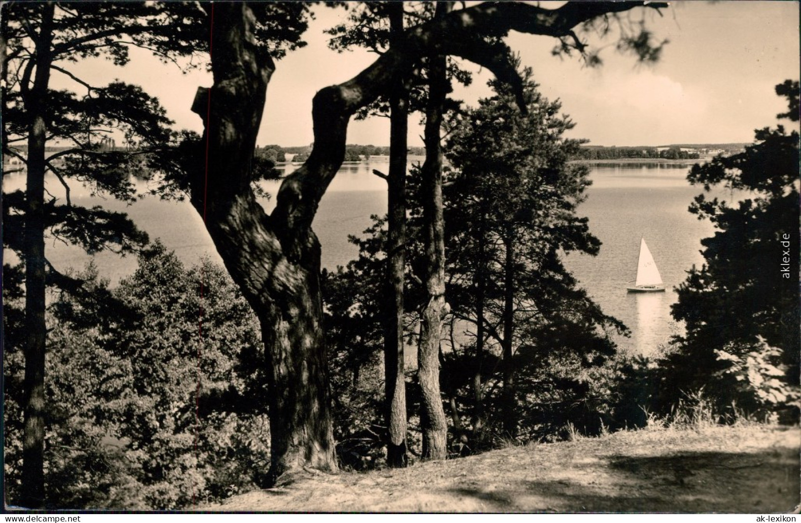 Ansichtskarte Goyatz-Schwielochsee Blick Auf Den Kleinen Schwielochsee 1961  - Goyatz