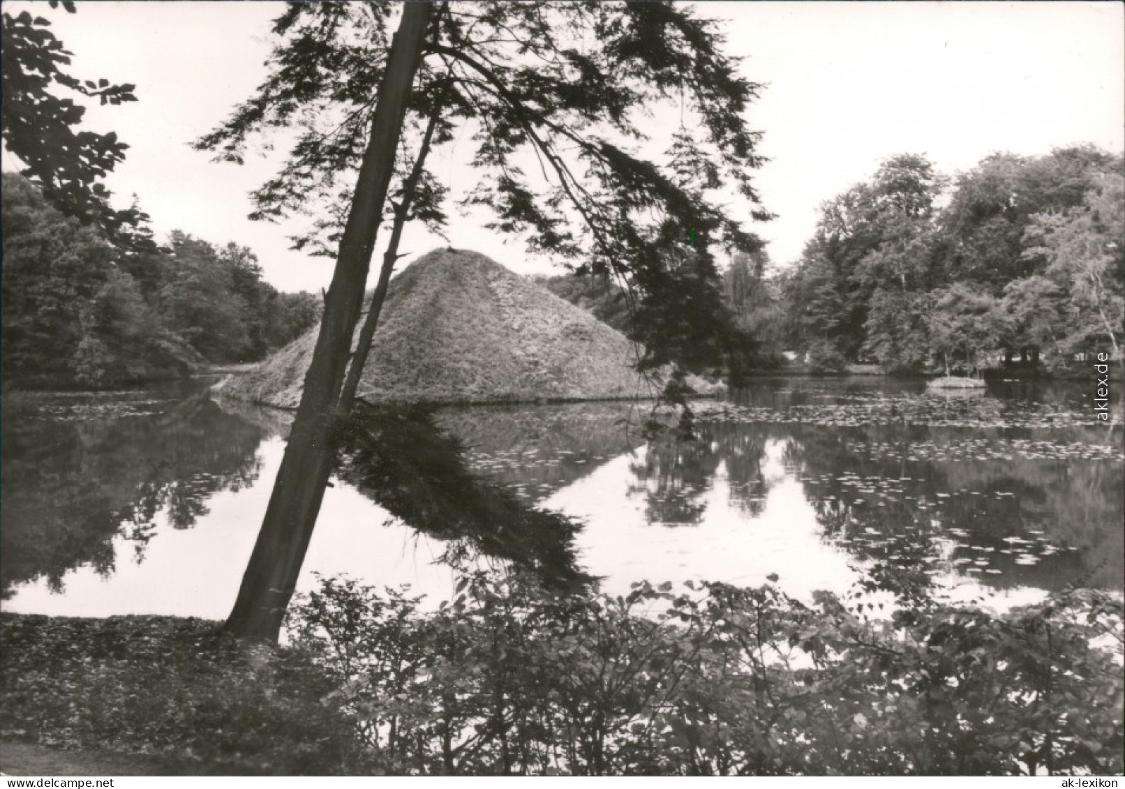 Ansichtskarte Branitz-Cottbus Seepyramide (Tumulus) Im Branitzer Park 1979  - Cottbus
