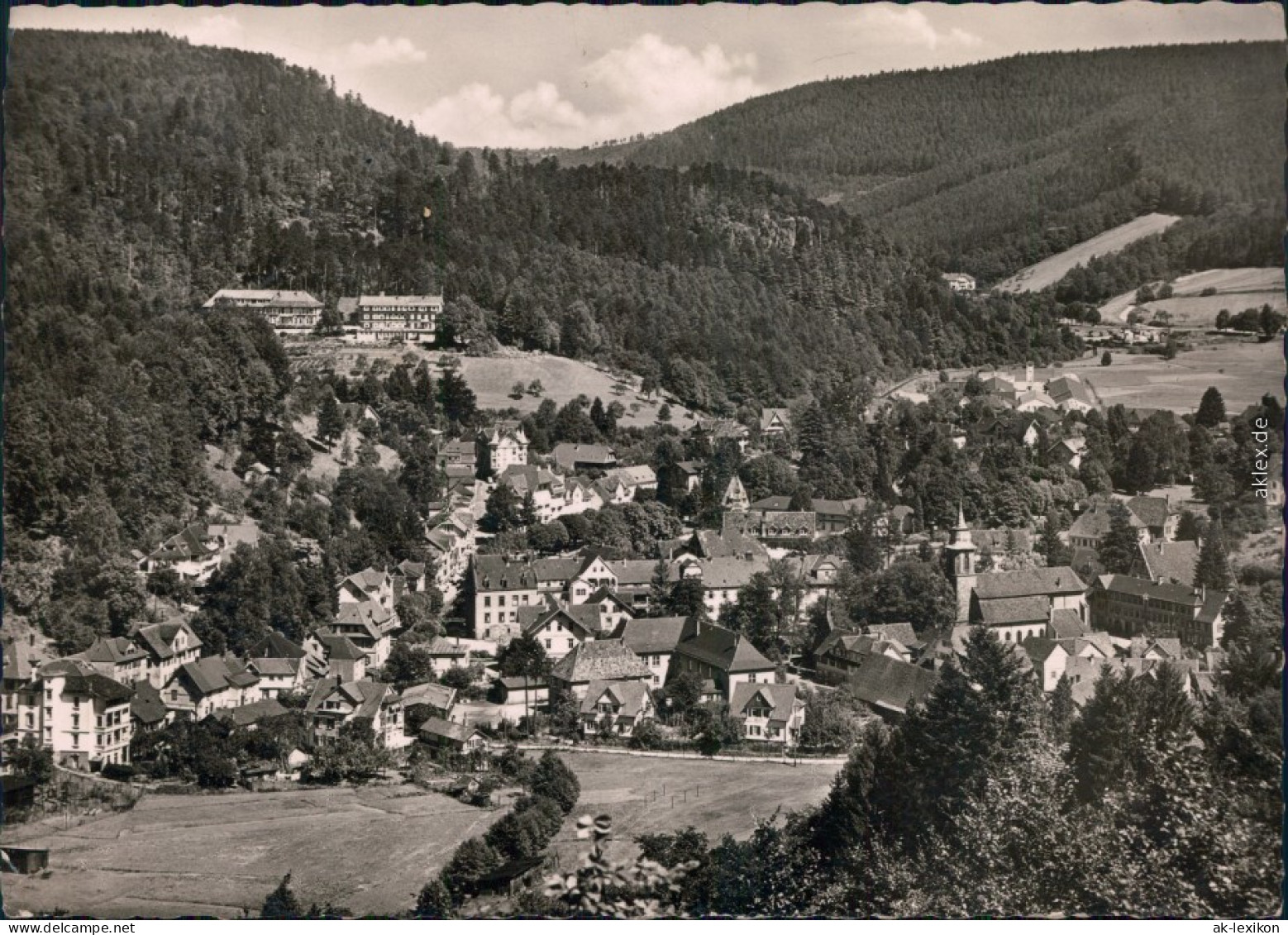 Ansichtskarte Bad Herrenalb Panoramablick 1956 - Bad Herrenalb