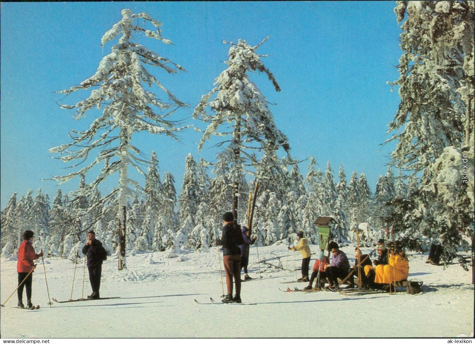 Ansichtskarte  Skifahrer Am Waldrand 1982 - Winter Sports