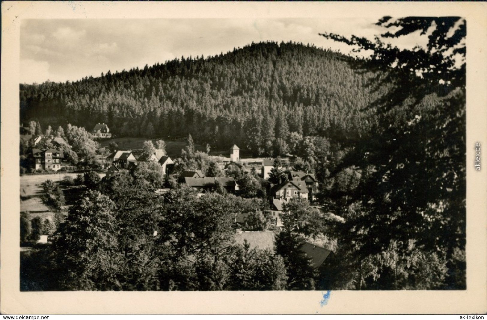 Bärenfels (Erzgebirge)-Altenberg Panorama-Ansicht, Spitzberg 1956 - Altenberg
