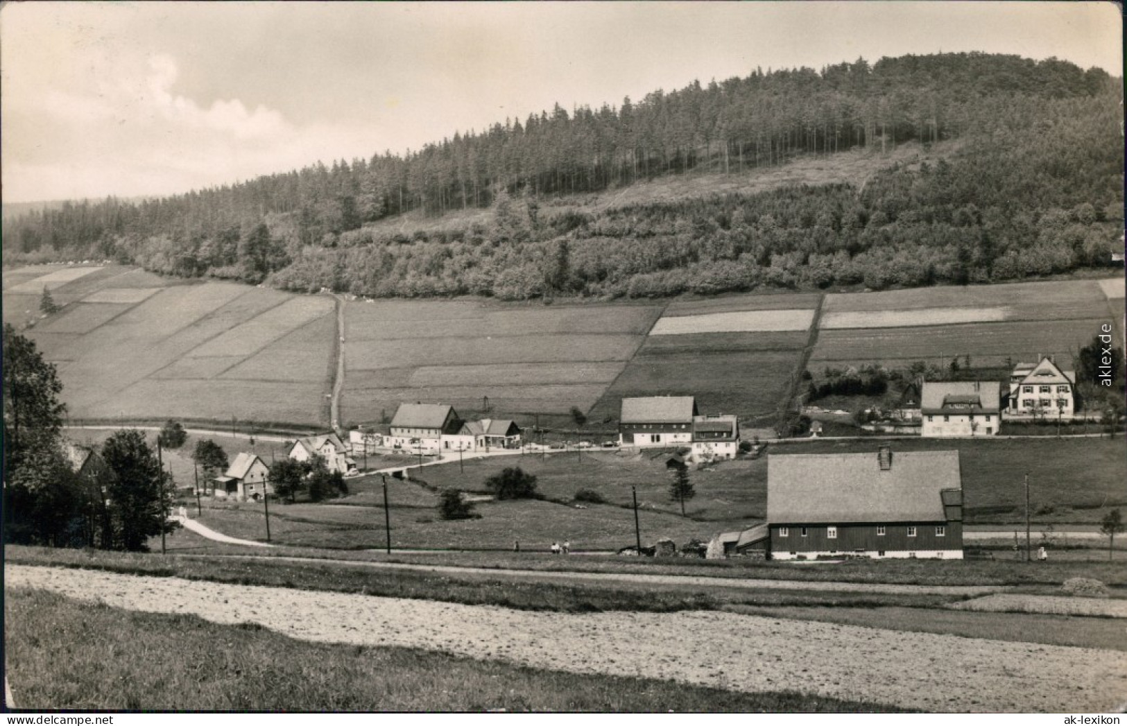 Ansichtskarte Rehefeld-Altenberg (Erzgebirge) Panorama-Ansicht 1960 - Rehefeld