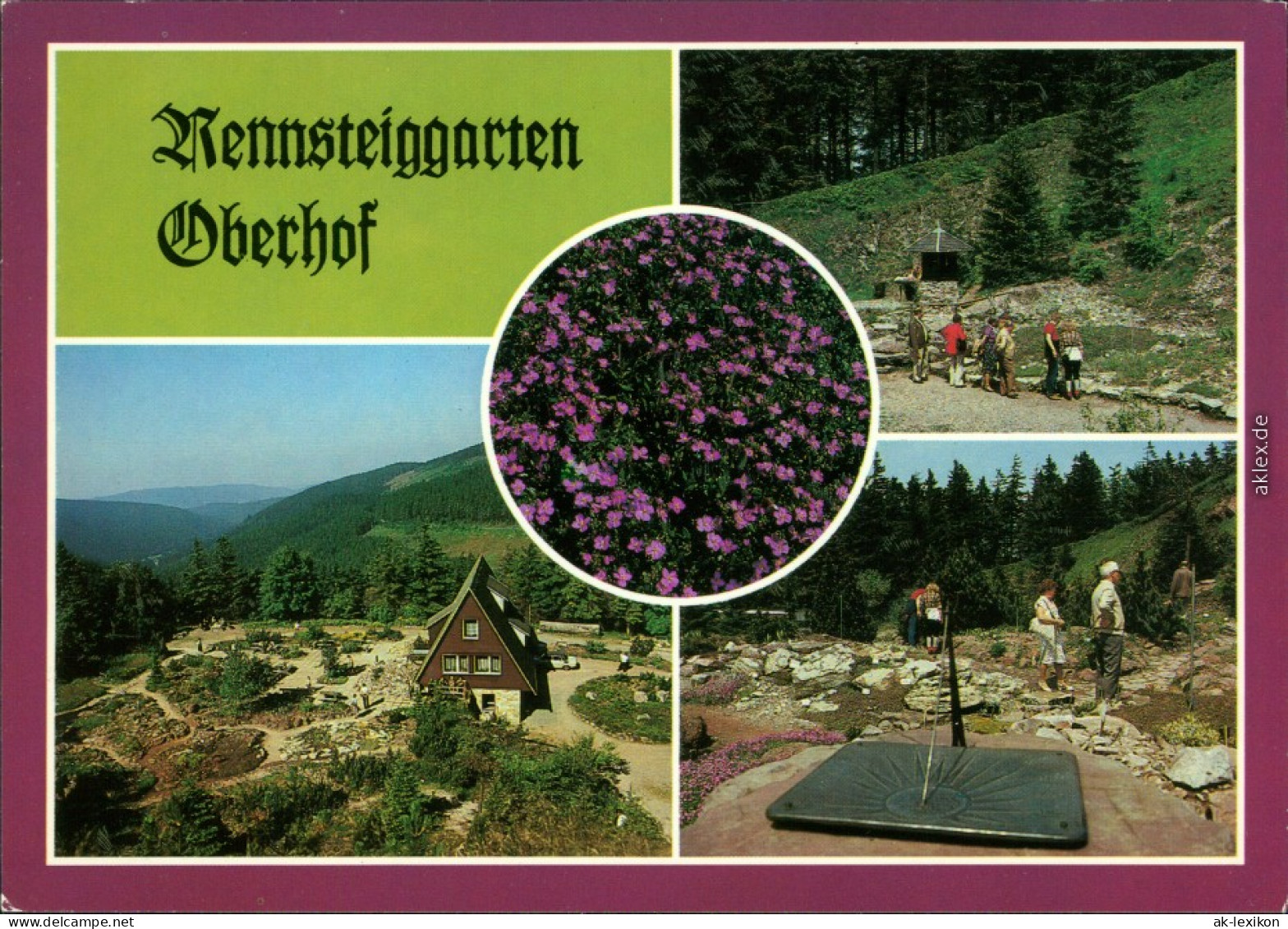 Ansichtskarte Oberhof (Thüringen) Rennsteiggarten 1986 - Oberhof