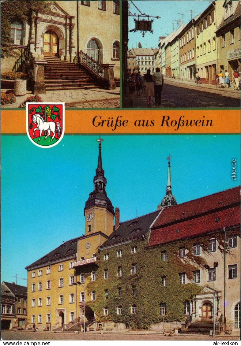 Rosswein&#47; Roßwein Eingang Zum Heimatmuseum, Dresdner Straße, Rathaus 1987 - Sonstige & Ohne Zuordnung