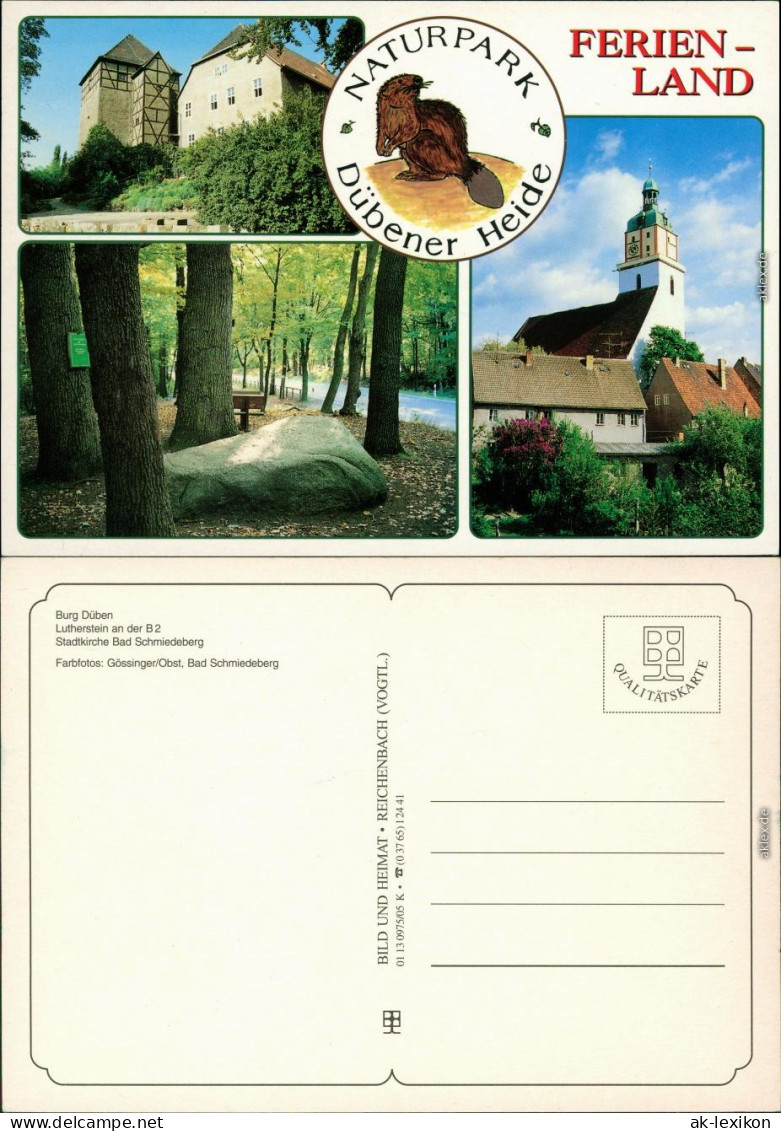 Bad Schmiedeberg Burg Düben (Dibni) Mit Heimatmuseum,   1995 - Bad Düben