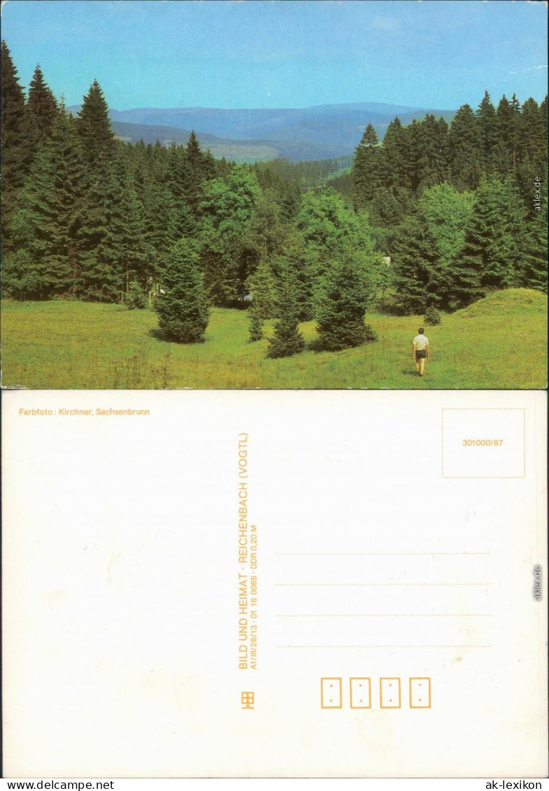 Ansichtskarte  Stimmungsbild, Mensch Auf Bergwiese Mit Wald 1987 - Unclassified