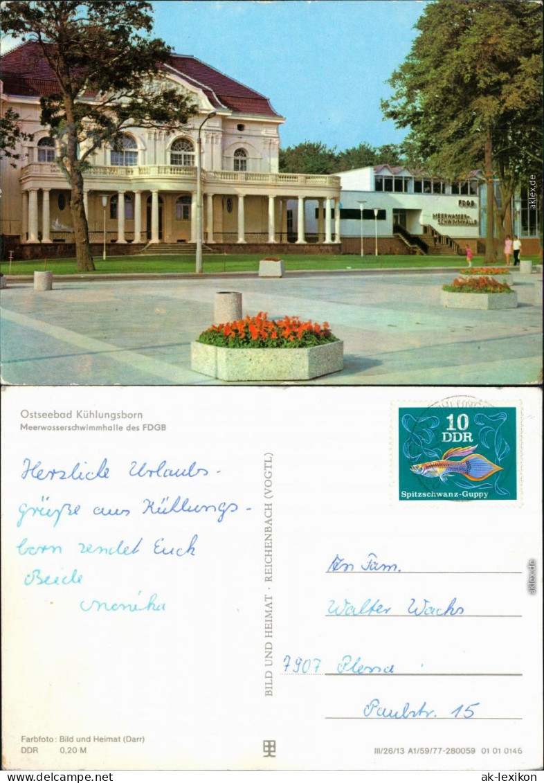 Ansichtskarte Kühlungsborn Mehrwasserschwimmhalle Des FDGB 1977 - Kuehlungsborn