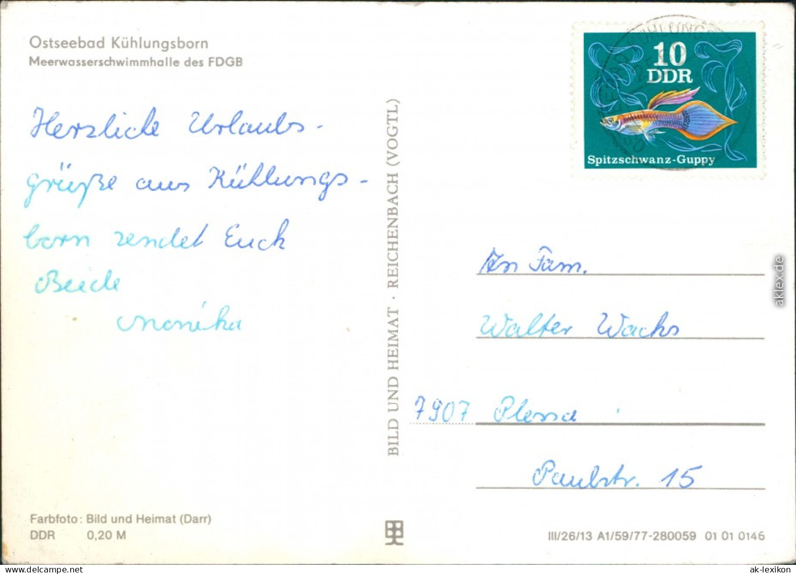 Ansichtskarte Kühlungsborn Mehrwasserschwimmhalle Des FDGB 1977 - Kühlungsborn