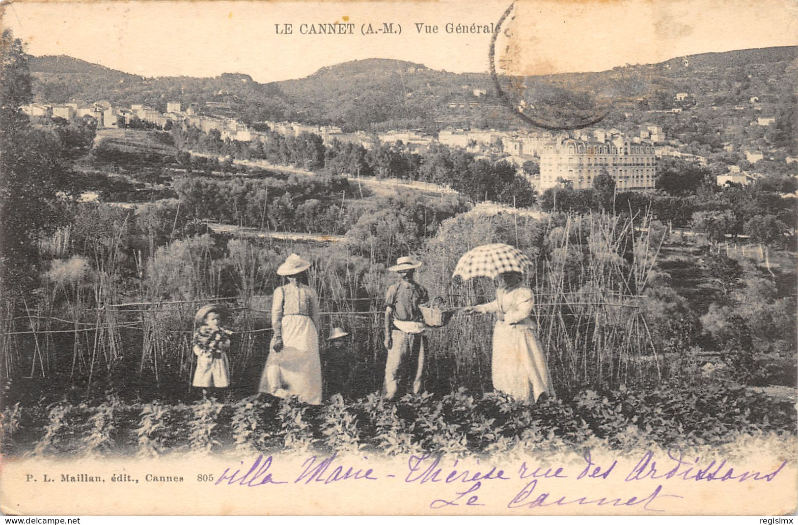 6-LE CANNET-N°350-C/0103 - Le Cannet