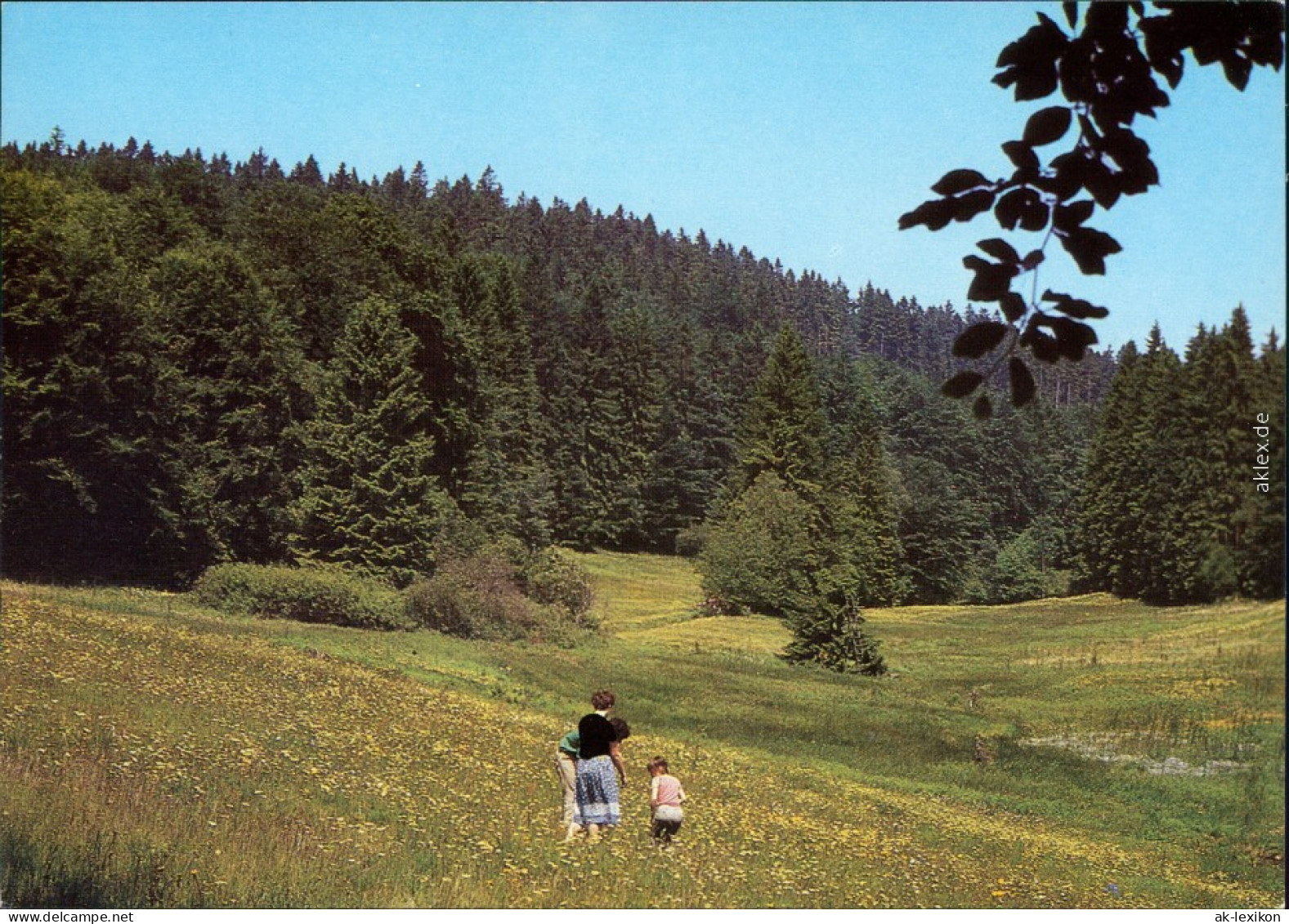 Ansichtskarte  Mutter Mit Kindern Auf Wiese Und Wald 1989 - Unclassified