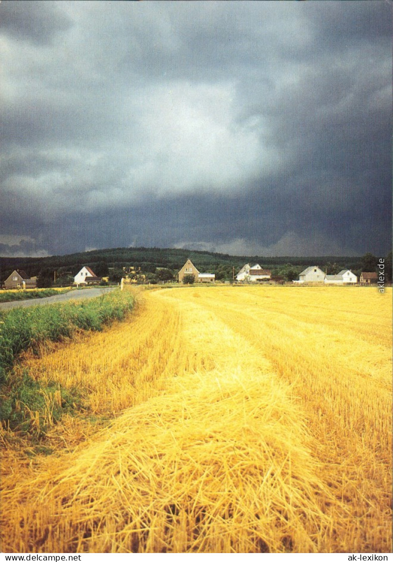 Ansichtskarte  Geerntetes Feld Mit Ortschaft, Stimmungsbild 1989 - Unclassified