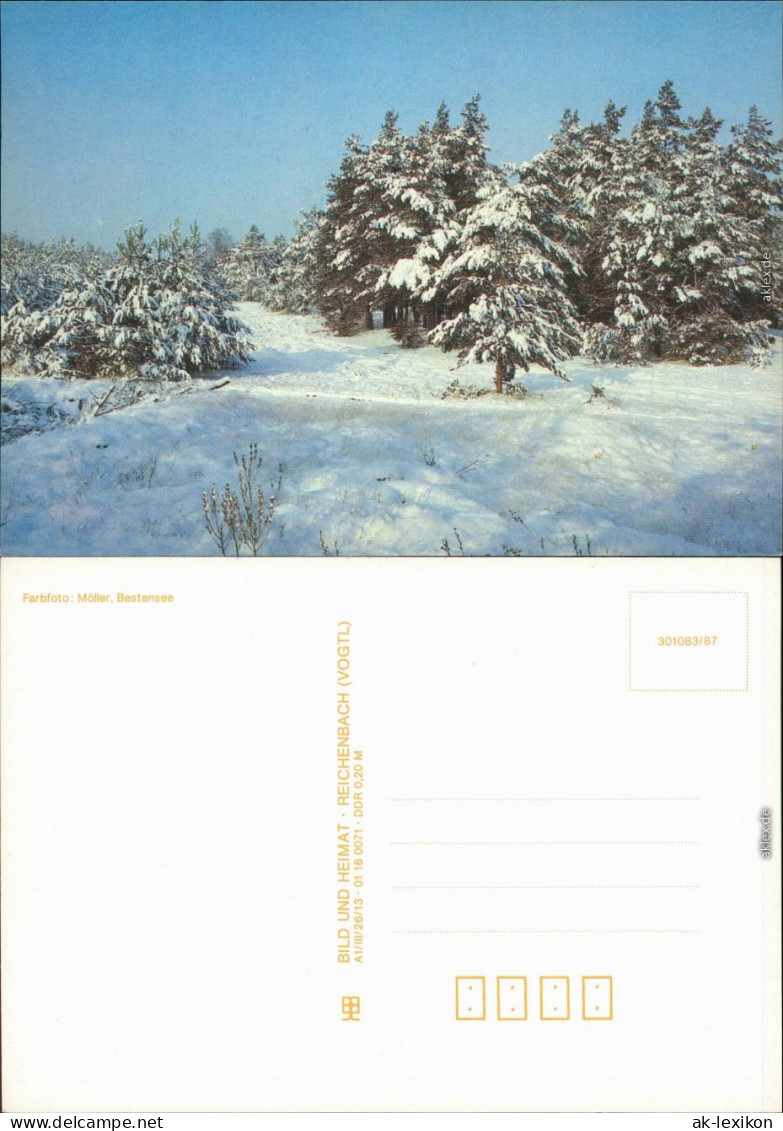 Ansichtskarte  Schneelandschaft Mit Nadelbäumen, Winterstimmung 1987 - Unclassified