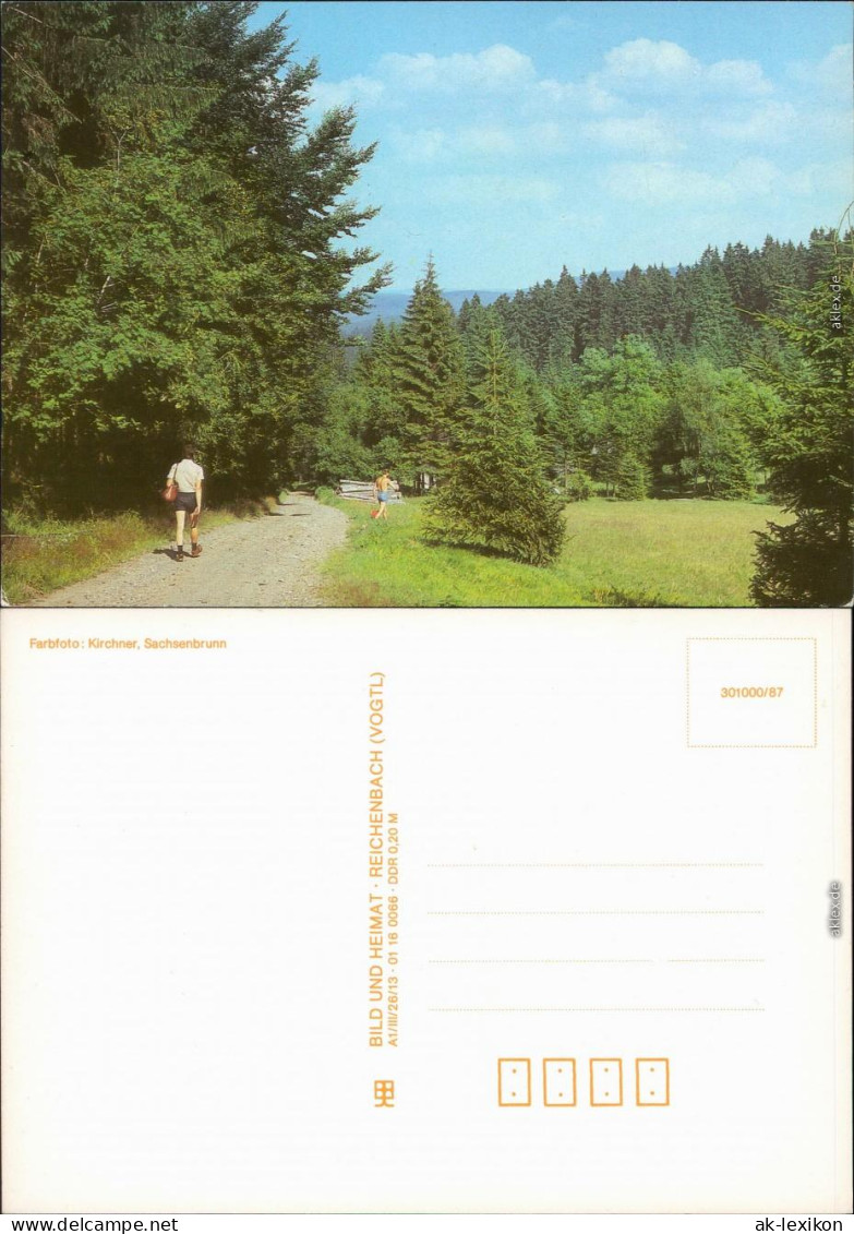 Ansichtskarte  Wanderer Am Waldesrand, Stimmungsbild 1987 - Non Classés