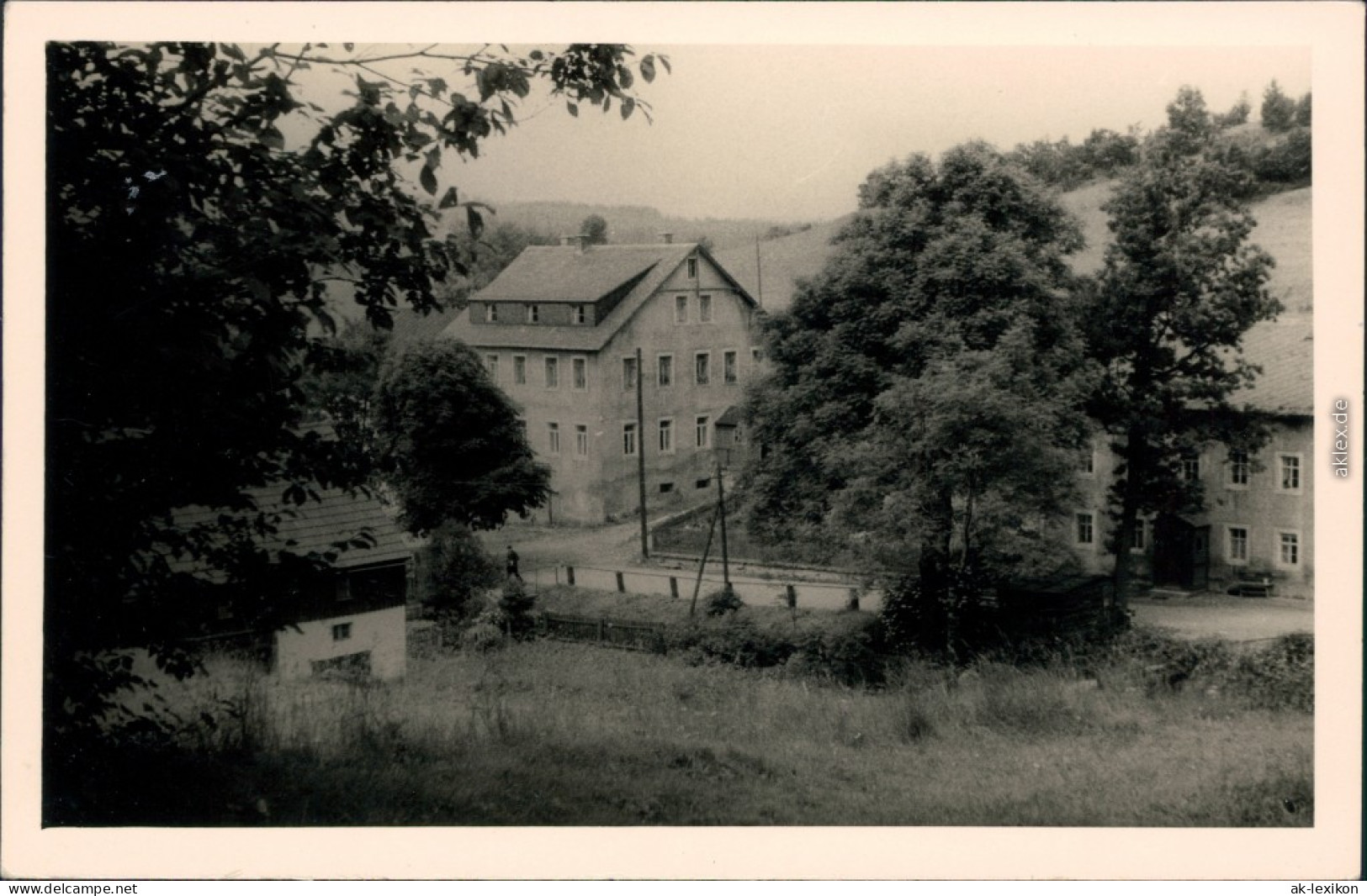 Ansichtskarte  Häuser Bäume Am Berghang 1950 - To Identify