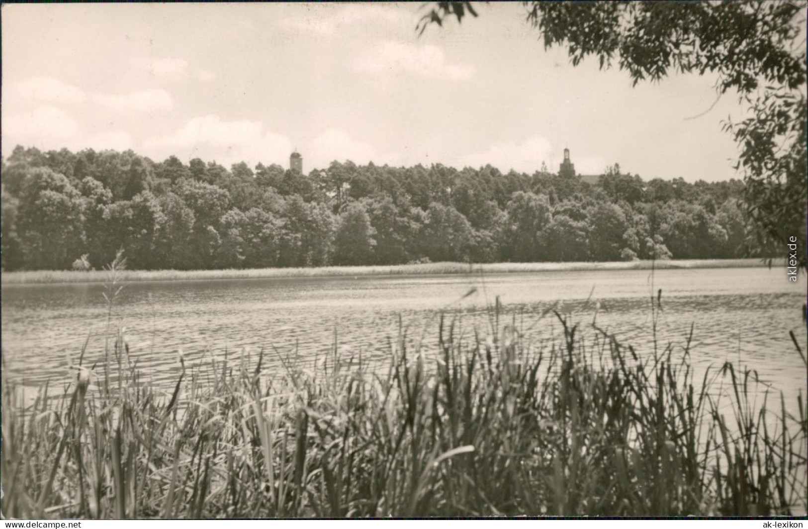 Ansichtskarte Templin Templiner See - Uferbereich 1957 - Templin