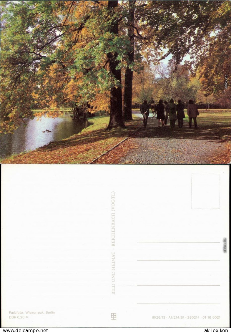 Ansichtskarte  Herbst, Park 1981 - Ohne Zuordnung