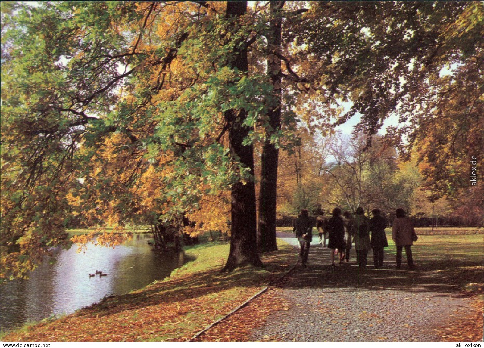Ansichtskarte  Herbst, Park 1981 - Ohne Zuordnung