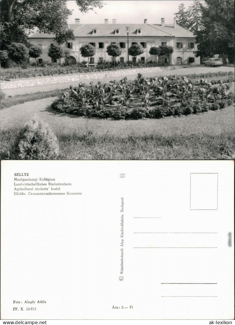 Ansichtskarte Sellye Landwirtschaftliches Studentenwohnheim 1976 - Ungheria