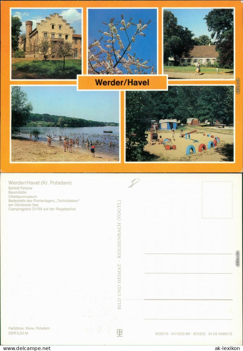 Werder (Havel) Baumblüte, Obstbaumuseum,  Pionierlagers  Campingplatz 1986 - Werder