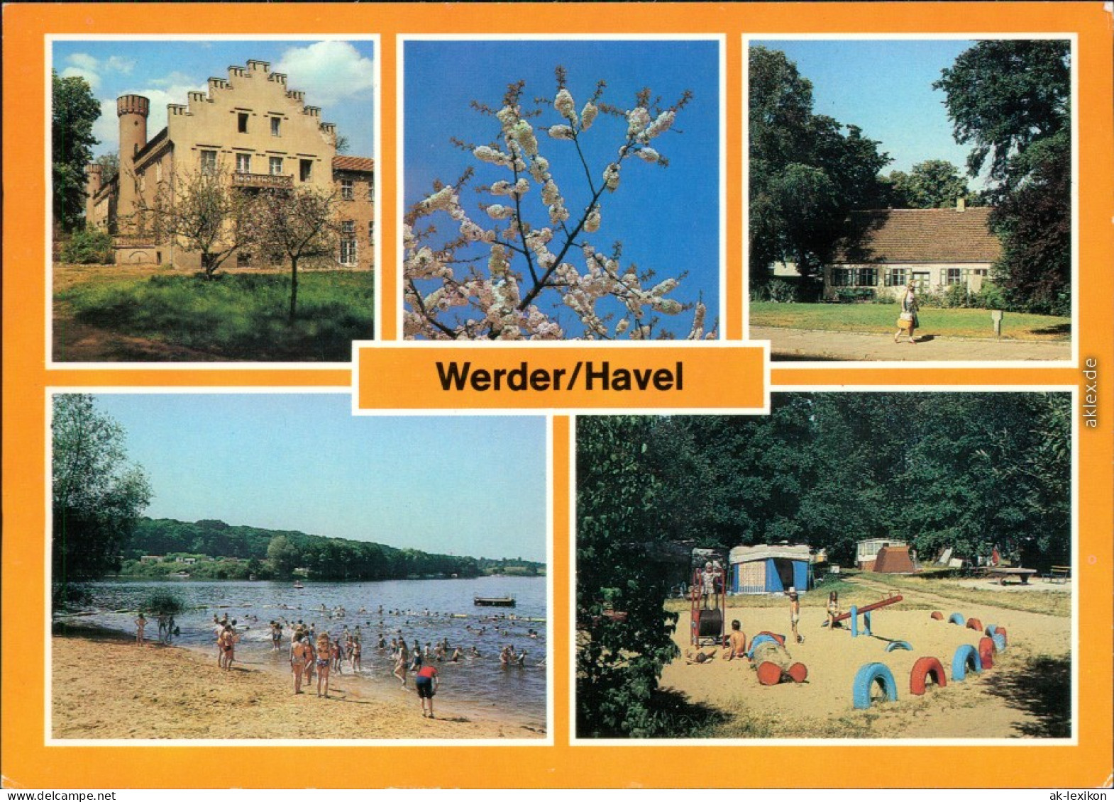 Werder (Havel) Baumblüte, Obstbaumuseum,  Pionierlagers  Campingplatz 1986 - Werder