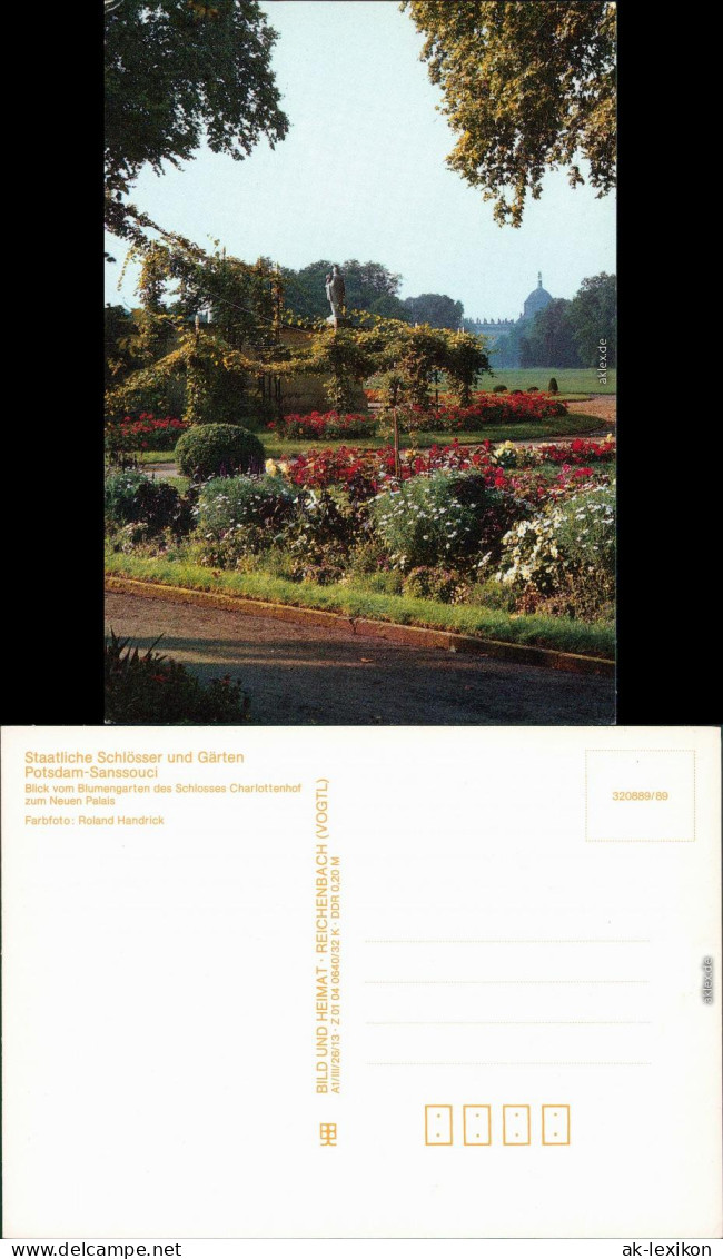 Ansichtskarte Potsdam Schloss Charlottenhof: Blumengarten 1989 - Potsdam