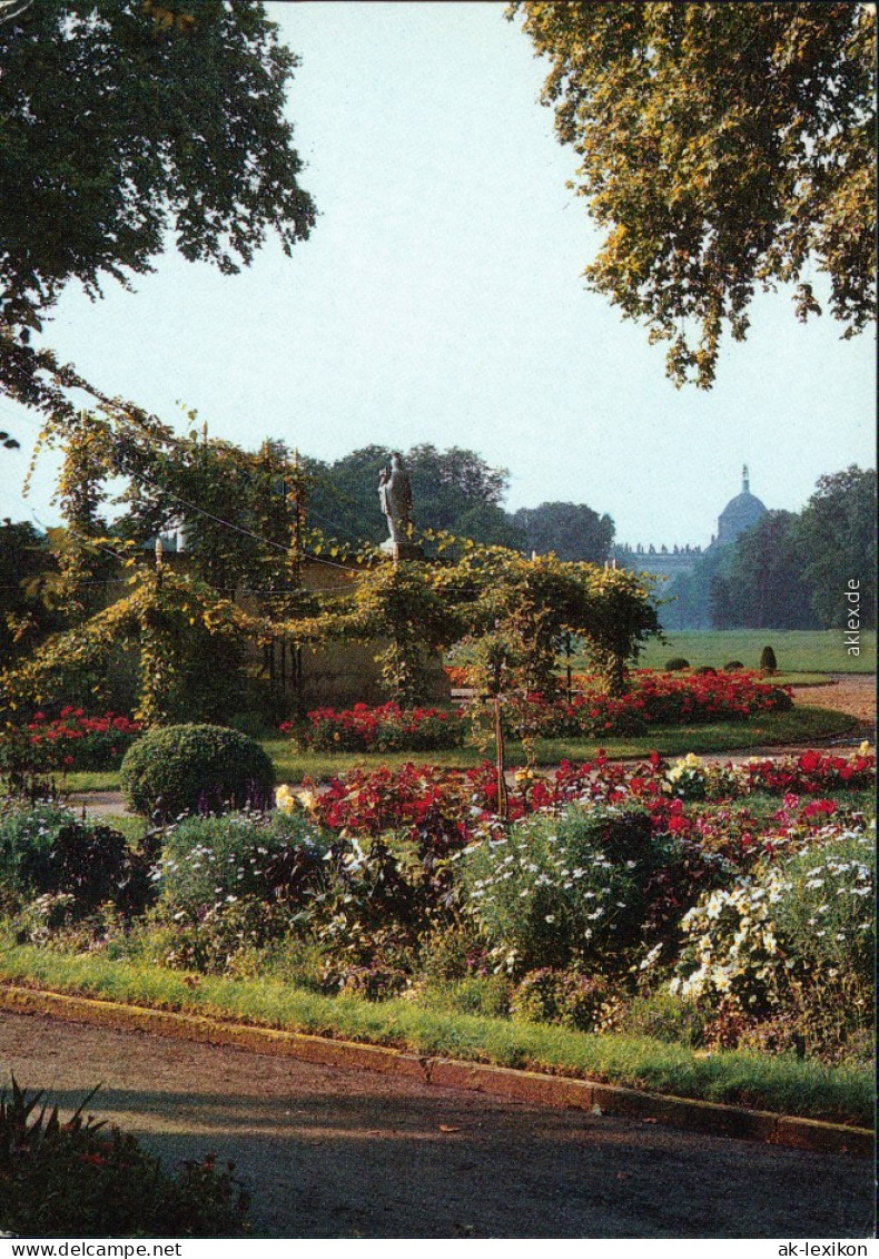 Ansichtskarte Potsdam Schloss Charlottenhof: Blumengarten 1989 - Potsdam