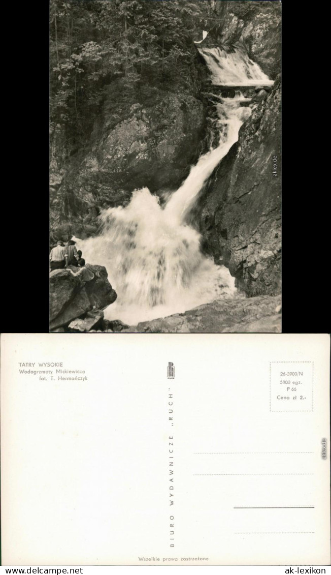 Ansichtskarte Łysa Polana Wodogrzmoty Mickiewicza / Wasserfälle 1966 - Polen