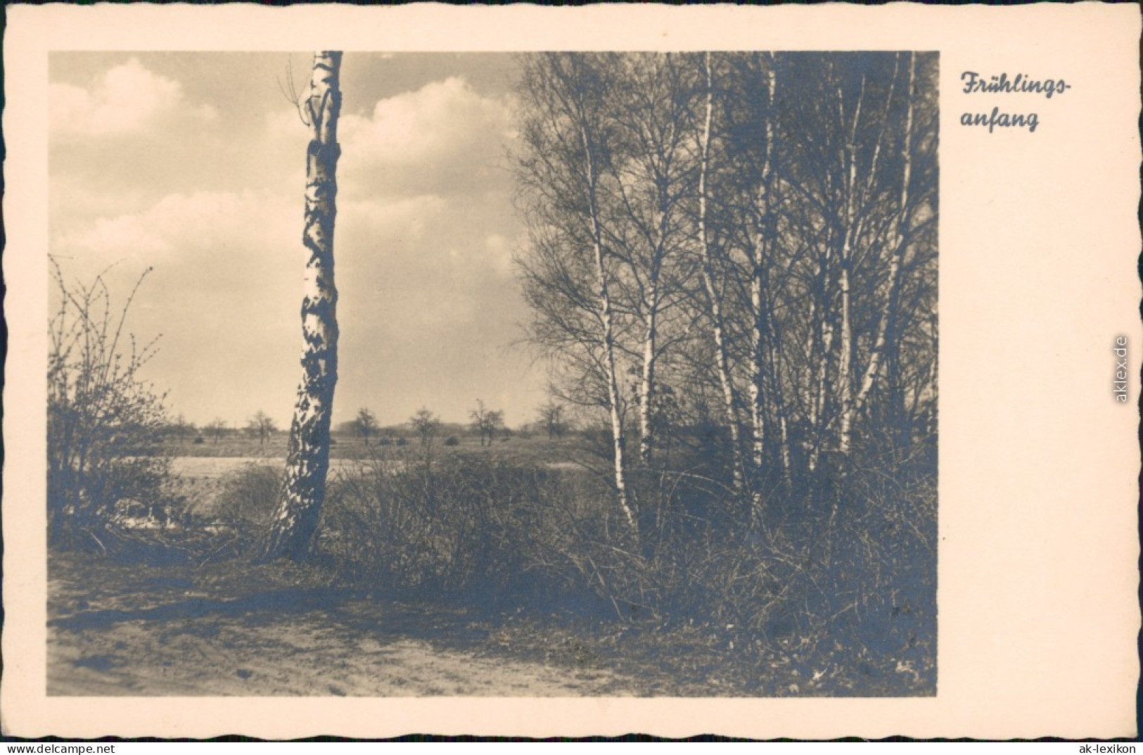 Ansichtskarte  Stimmungsbild: Frühling 1930  - Sonstige & Ohne Zuordnung