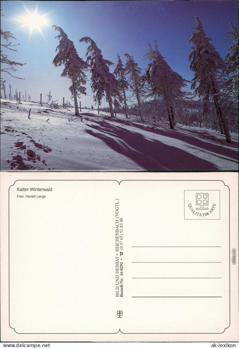 Ansichtskarte  Winter-Ansichtskarten (Schnee/Eis) / Stimmungsbild 1995 - Non Classés