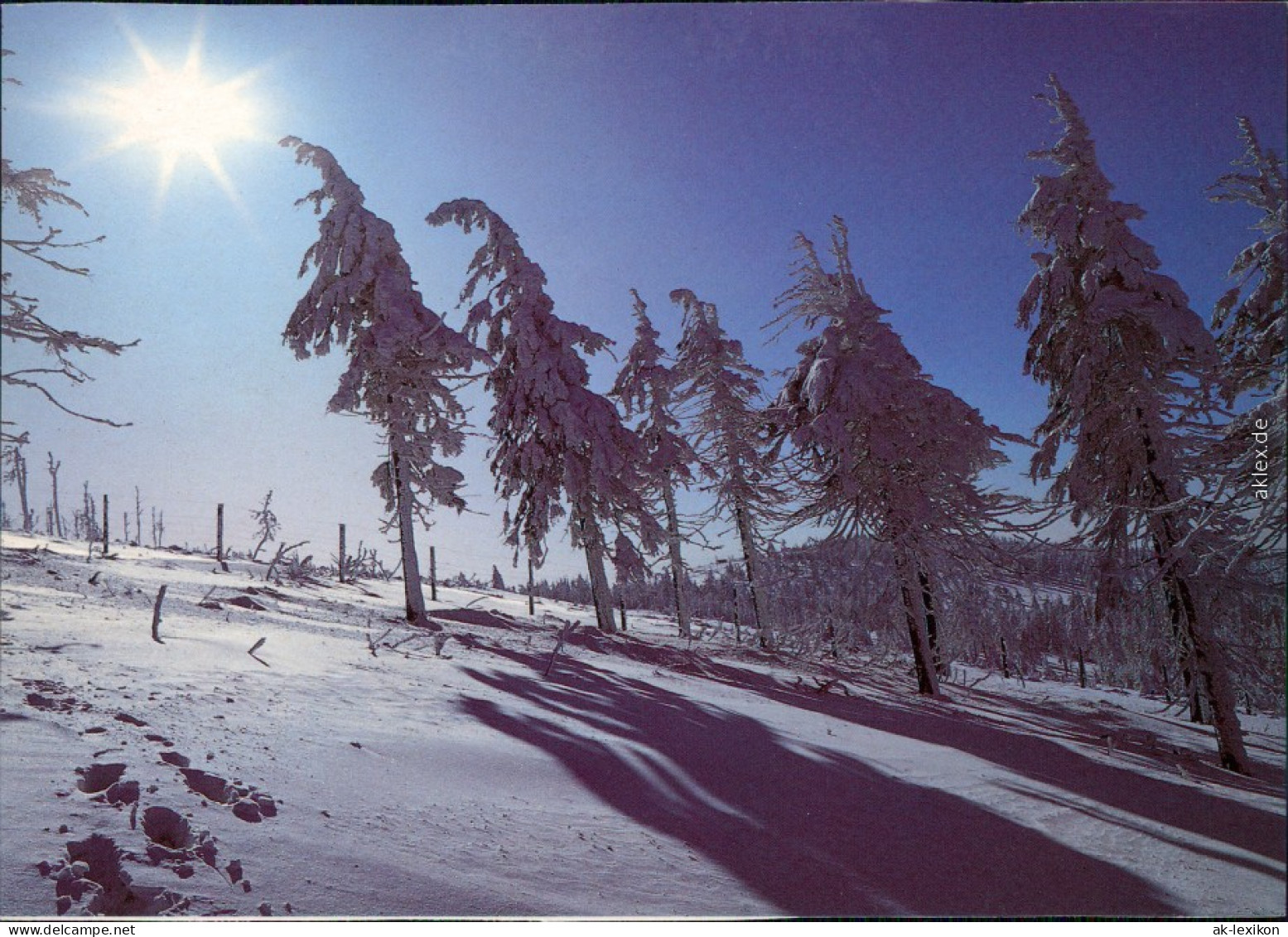 Ansichtskarte  Winter-Ansichtskarten (Schnee/Eis) / Stimmungsbild 1995 - Ohne Zuordnung