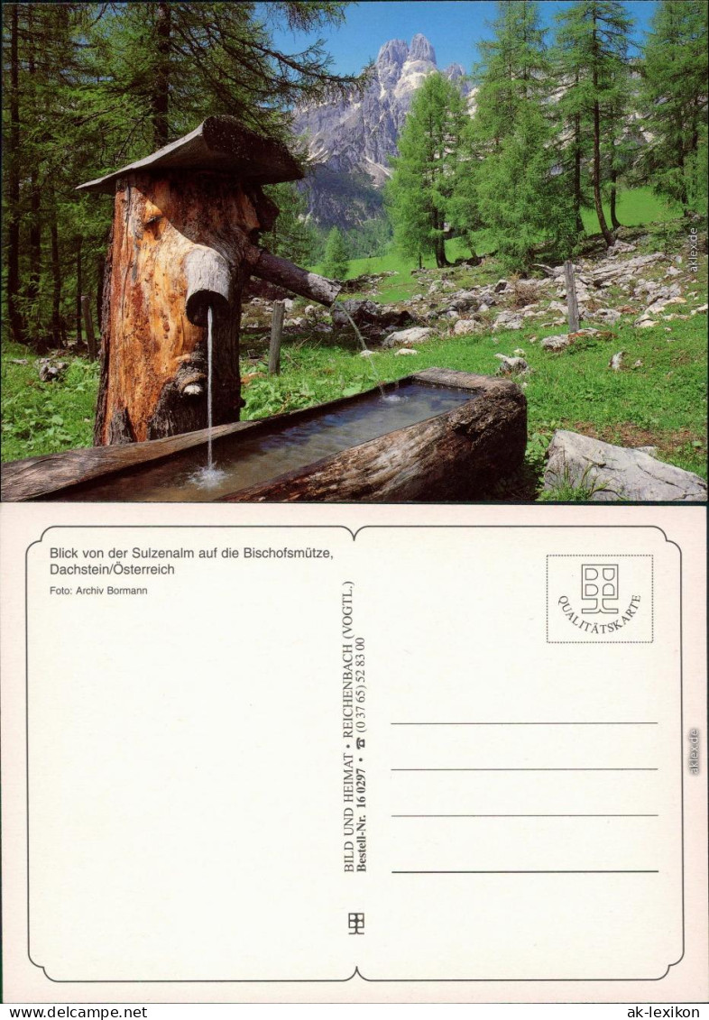 Ansichtskarte Dachstein Sulzenalm, Bischofsmütze 1995 - Other & Unclassified