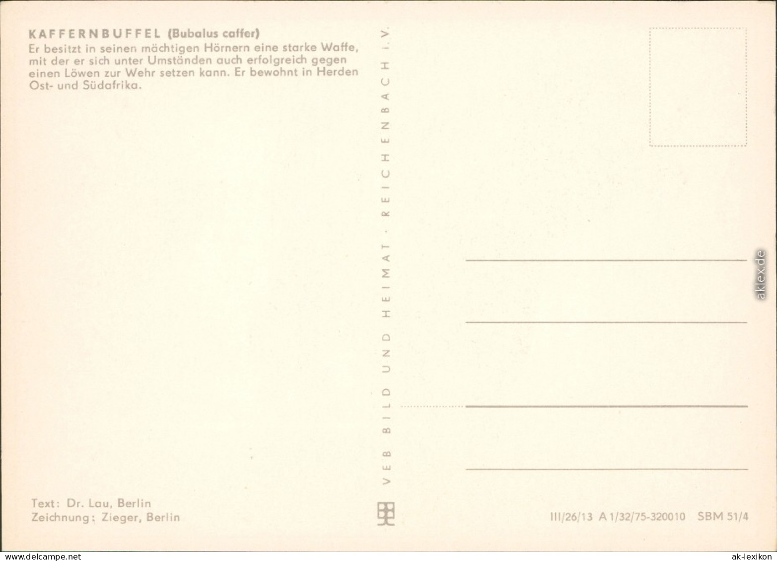 Ansichtskarte  Zeichnung: Kaffernbüffel 1975 - Zeitgenössisch (ab 1950)