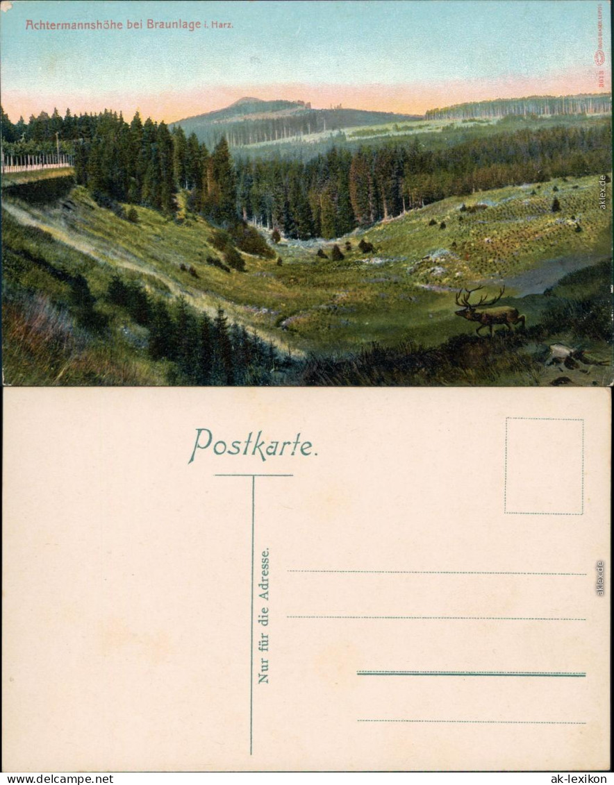 Ansichtskarte Braunlage Achtermannshöhe 1910 - Braunlage