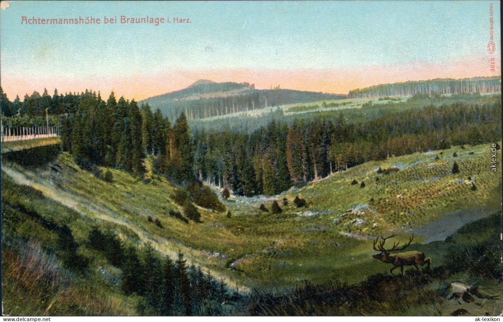 Ansichtskarte Braunlage Achtermannshöhe 1910 - Braunlage