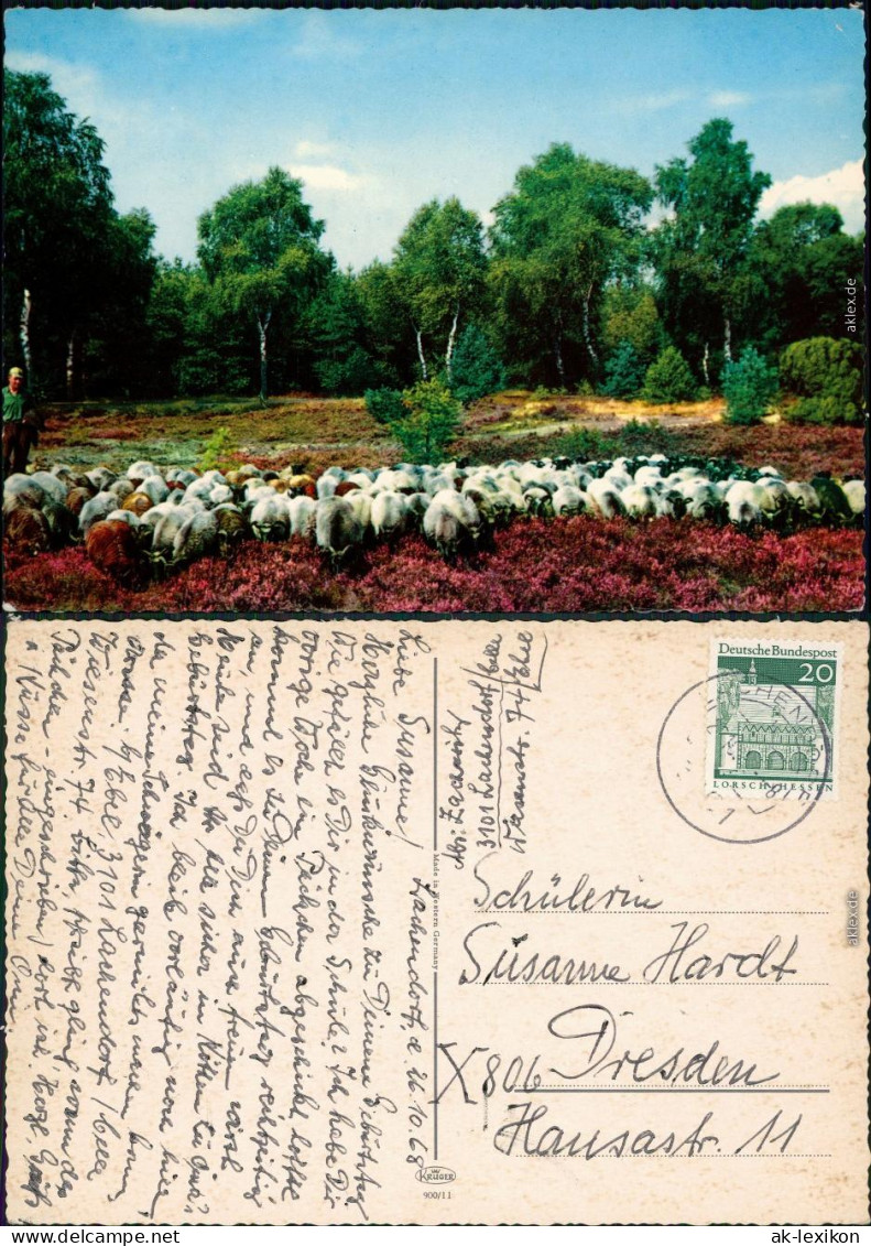 Ansichtskarte .Niedersachsen Schafsherde 1968 - Lüneburger Heide