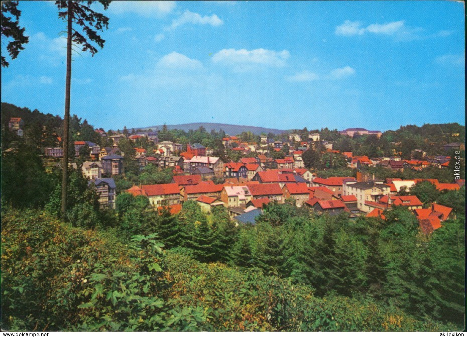 Ansichtskarte Friedrichroda Panorama-Ansicht Im Sommer 1976 - Friedrichroda