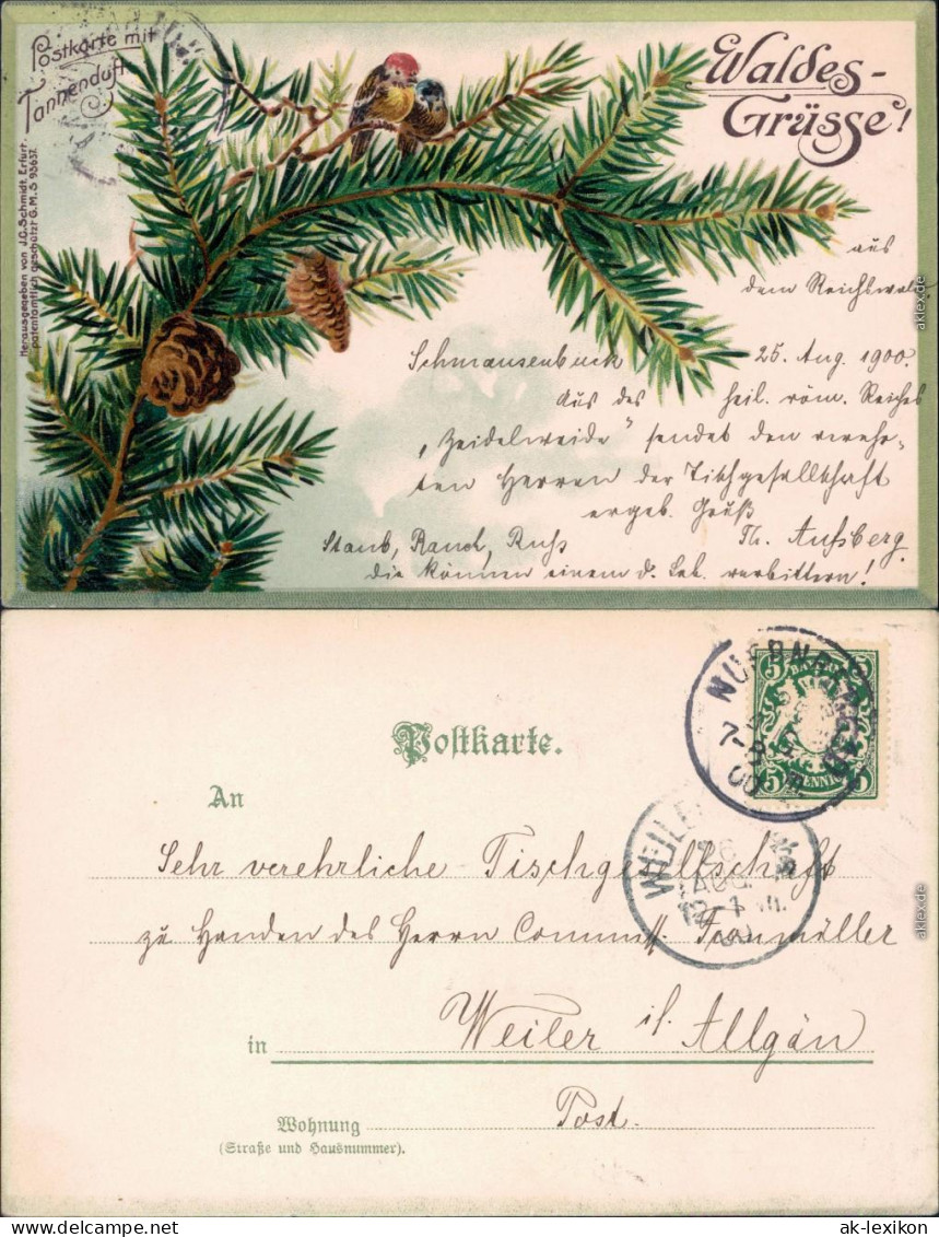 Ansichtskarte Grusskarten: Waldes Grüsse Tannenzweig Mit Vögeln Darauf 1900 - Autres & Non Classés