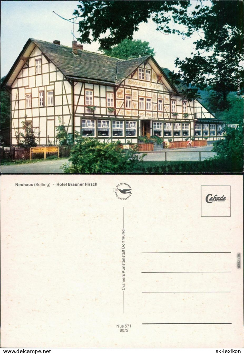 Ansichtskarte Neuhaus Im Solling-Holzminden Hotel Brauner Hirsch 1980 - Holzminden