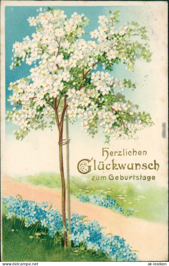  Glückwunsch/Grußkarten: Geburtstag - Blühender Baum 1907 Prägekarte - Geburtstag