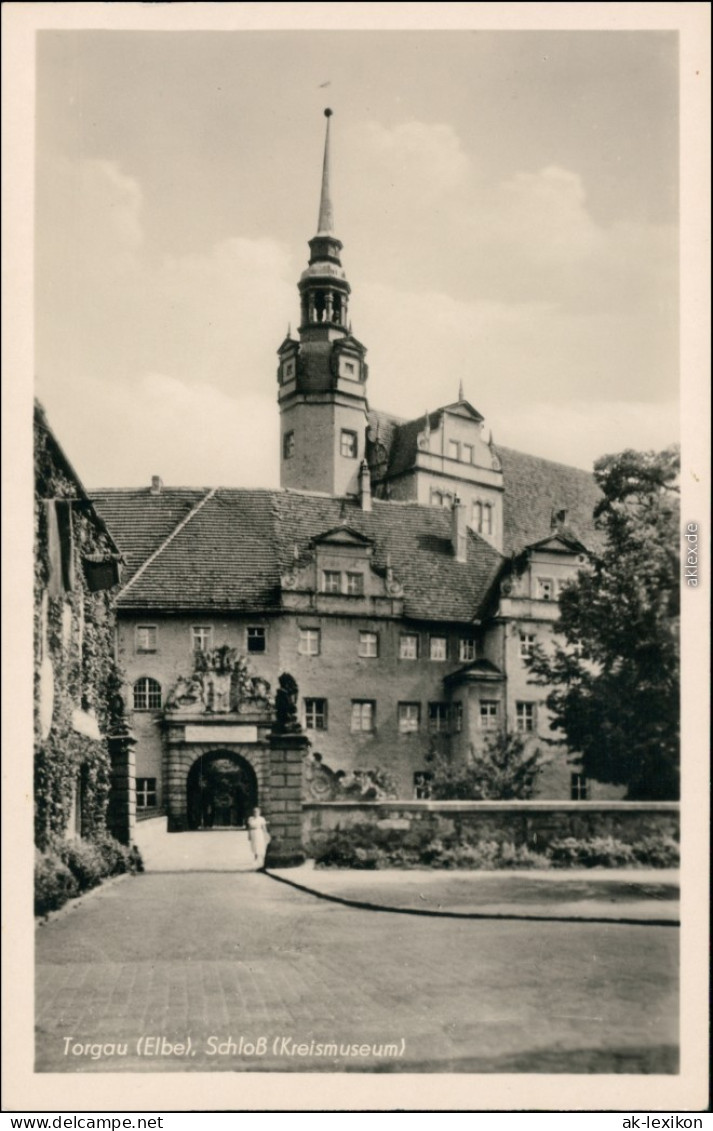 Ansichtskarte Torgau Schloss Hartenfels (Kreismuseum) 1954 - Torgau