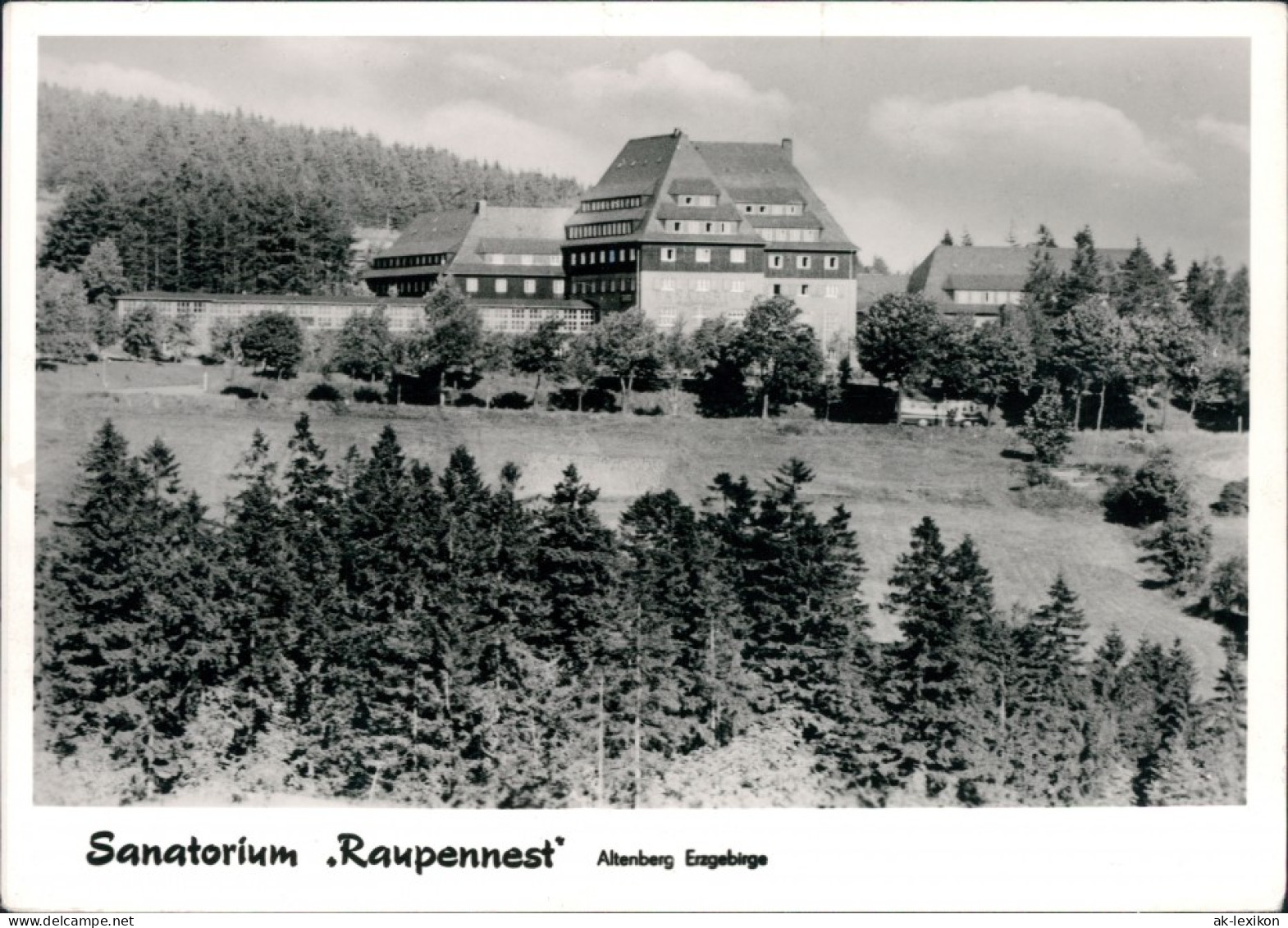 Ansichtskarte Altenberg (Erzgebirge) Sanatorium "Raupennest" 1981 - Altenberg