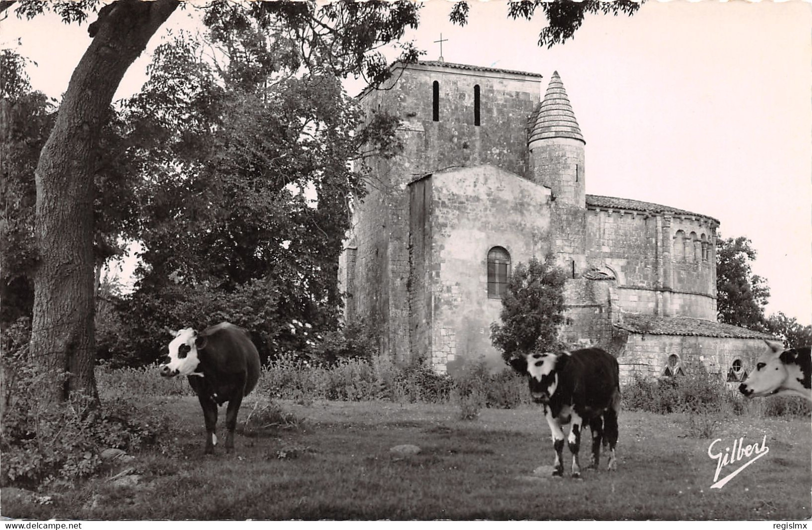 17-VAUX SUR MER-N°351-C/0017 - Vaux-sur-Mer