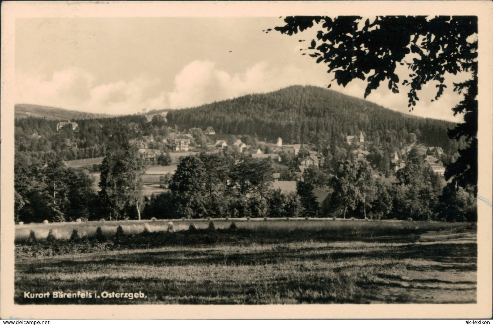 Bärenfels (Erzgebirge)-Altenberg (Erzgebirge) Blick Auf Den Ort 1956 - Altenberg